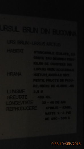 P1010513