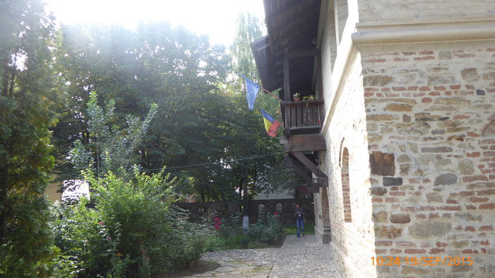 P1010523
