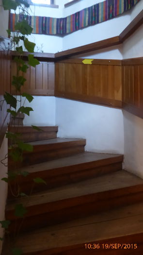 P1010562