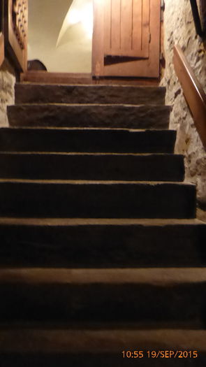 P1010651