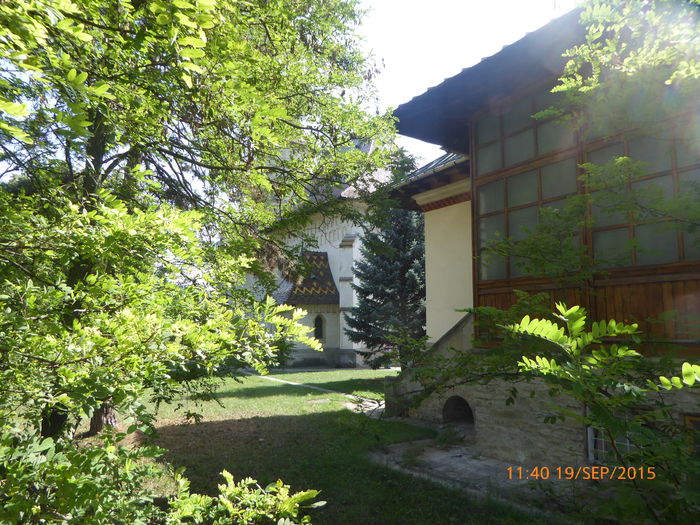 P1010667