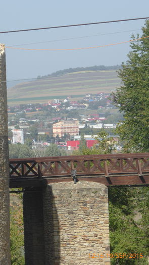 P1010713