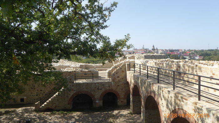 P1010737