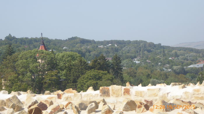 P1010739