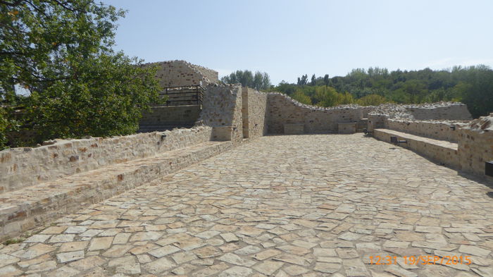 P1010751