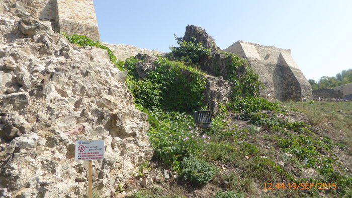 P1010767