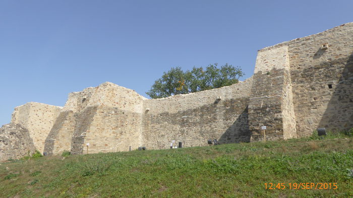 P1010768