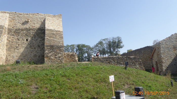 P1010769
