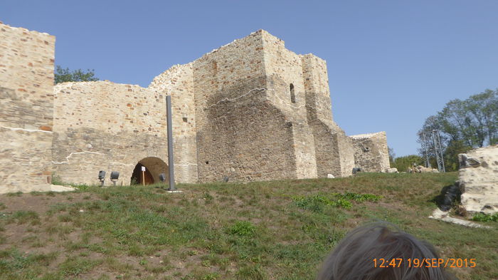 P1010771