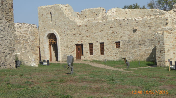 P1010778