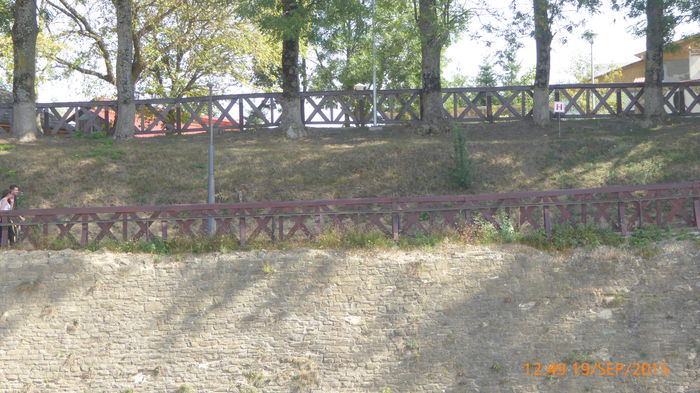 P1010779