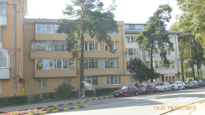 P1010784