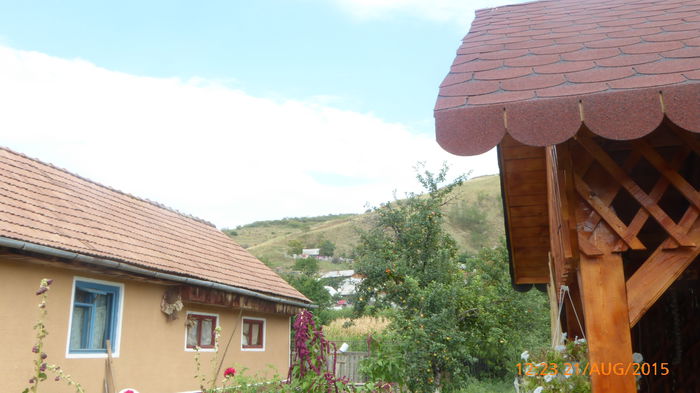 P1010059