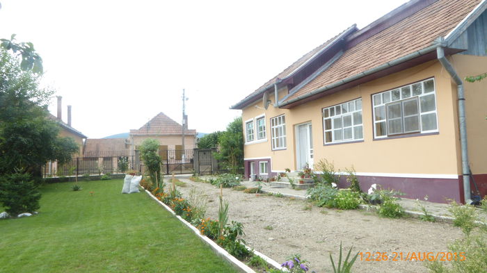 P1010064