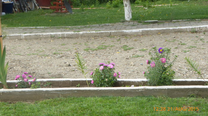 P1010072
