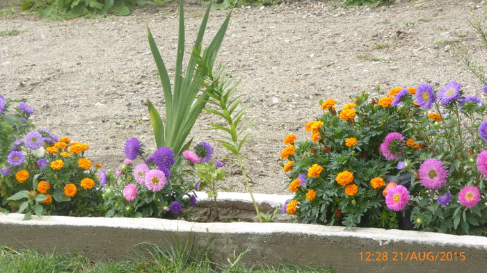 P1010073