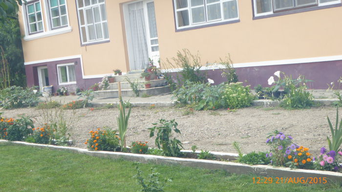 P1010075