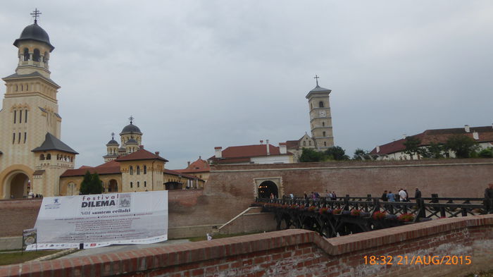 P1010153