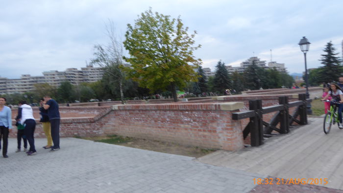 P1010154