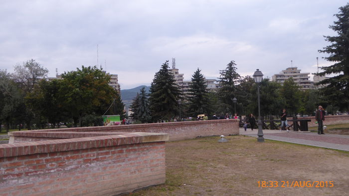 P1010156