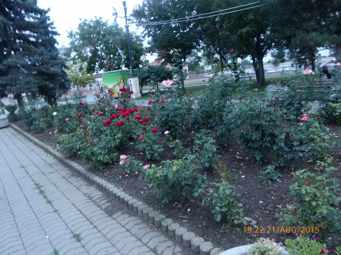 P1010179