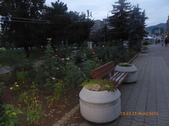 P1010180