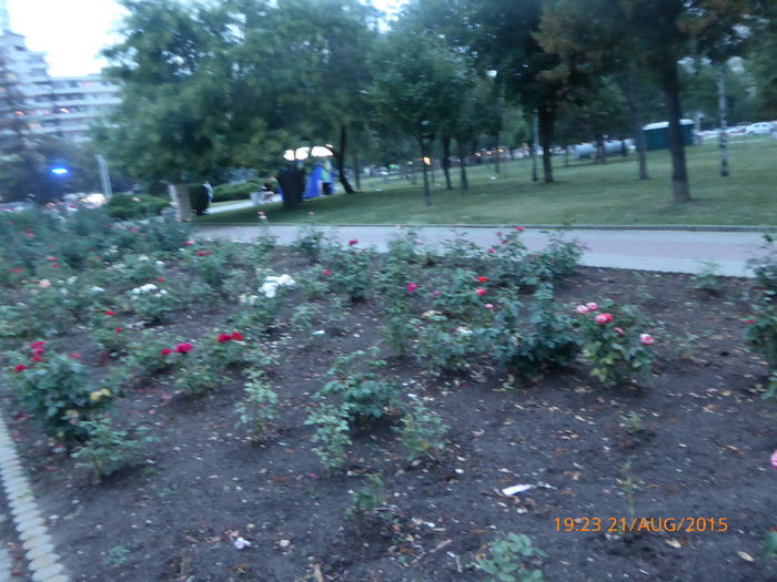 P1010183