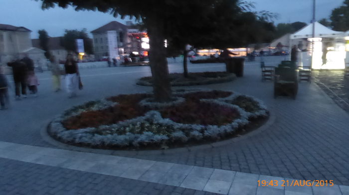 P1010229