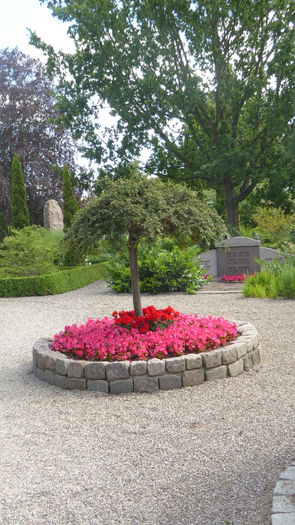 P1000431