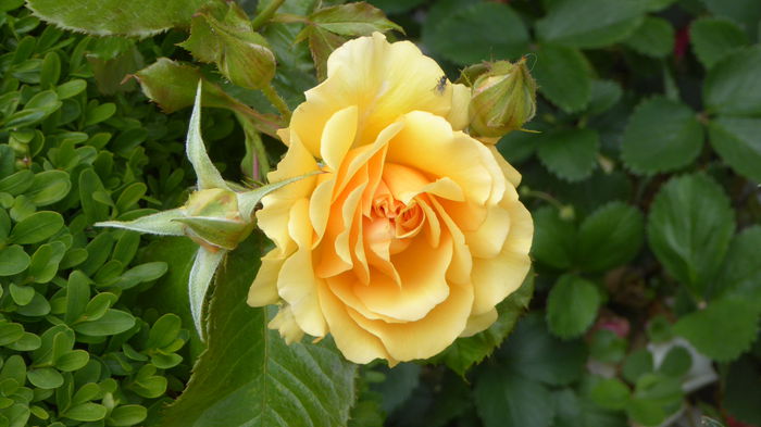 P1000446