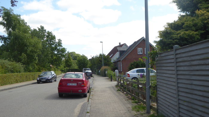 P1000454