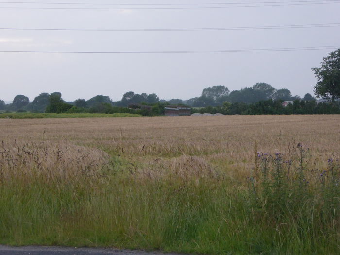 P1000517