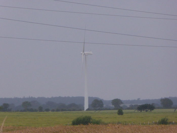 P1000518