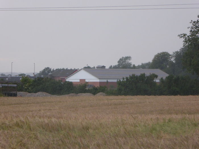 P1000523