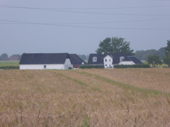 P1000524