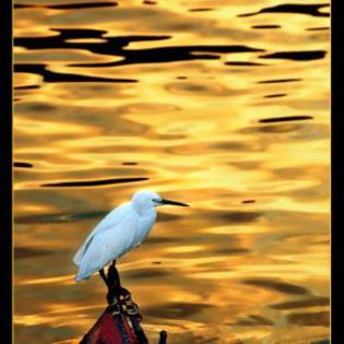 13921_54aefdba8e189b5e6e674e98b26c84e7_mdsq