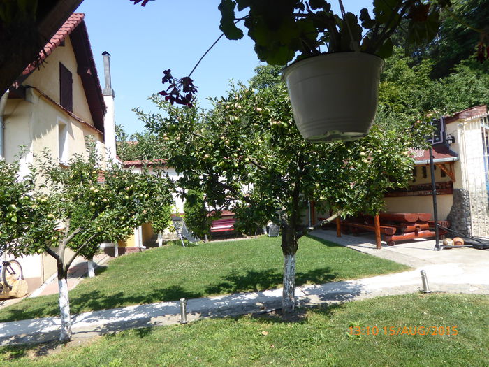 P1000843