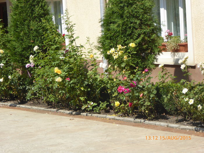 P1000857