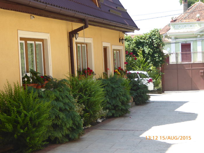 P1000860