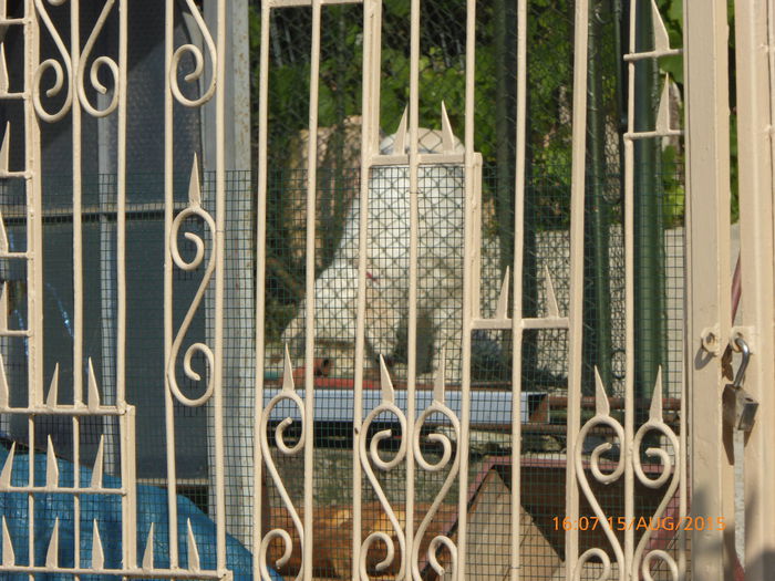 P1000871