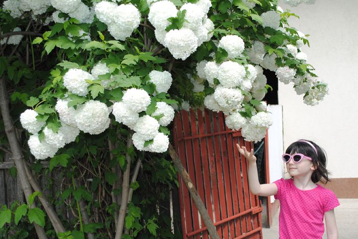 mai - 2015 diverse poze Smaranda