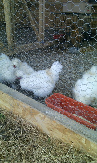 părintii mataselor mele. nu imi apartin.