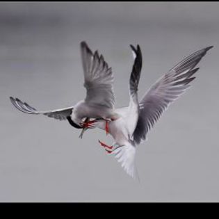 14701_cb9378ca80b3930be10ff50a08dc5a41_mdsq