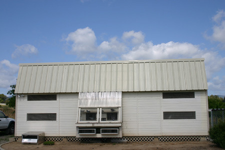 hokalex2 - MODELE DE CRESCATORII