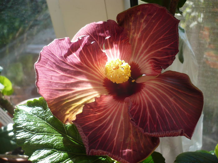 P1240510