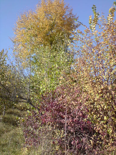 DSC01116