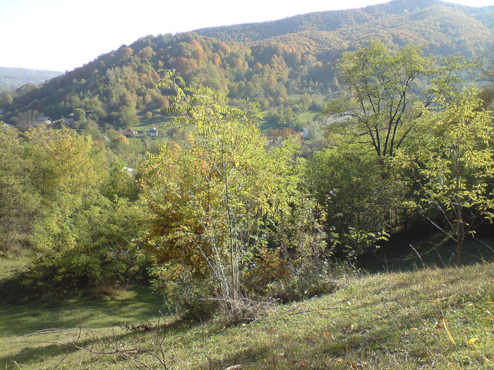 DSC01118