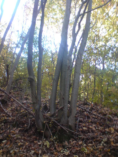 DSC01094