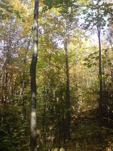 DSC01101