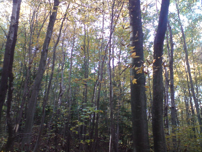 DSC01107